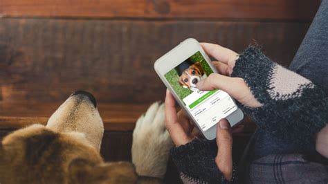 telephone number for vets4pets|Mobile App .